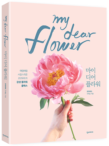 마이디어 이미지