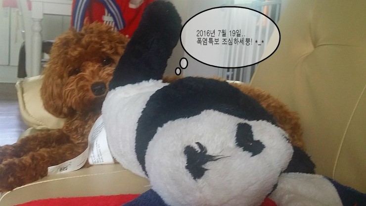 경동타올 이미지
