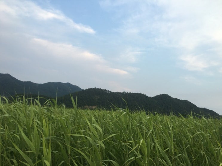 순천그로브게스트하우스 이미지