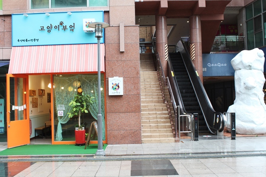 고양이부엌 이미지