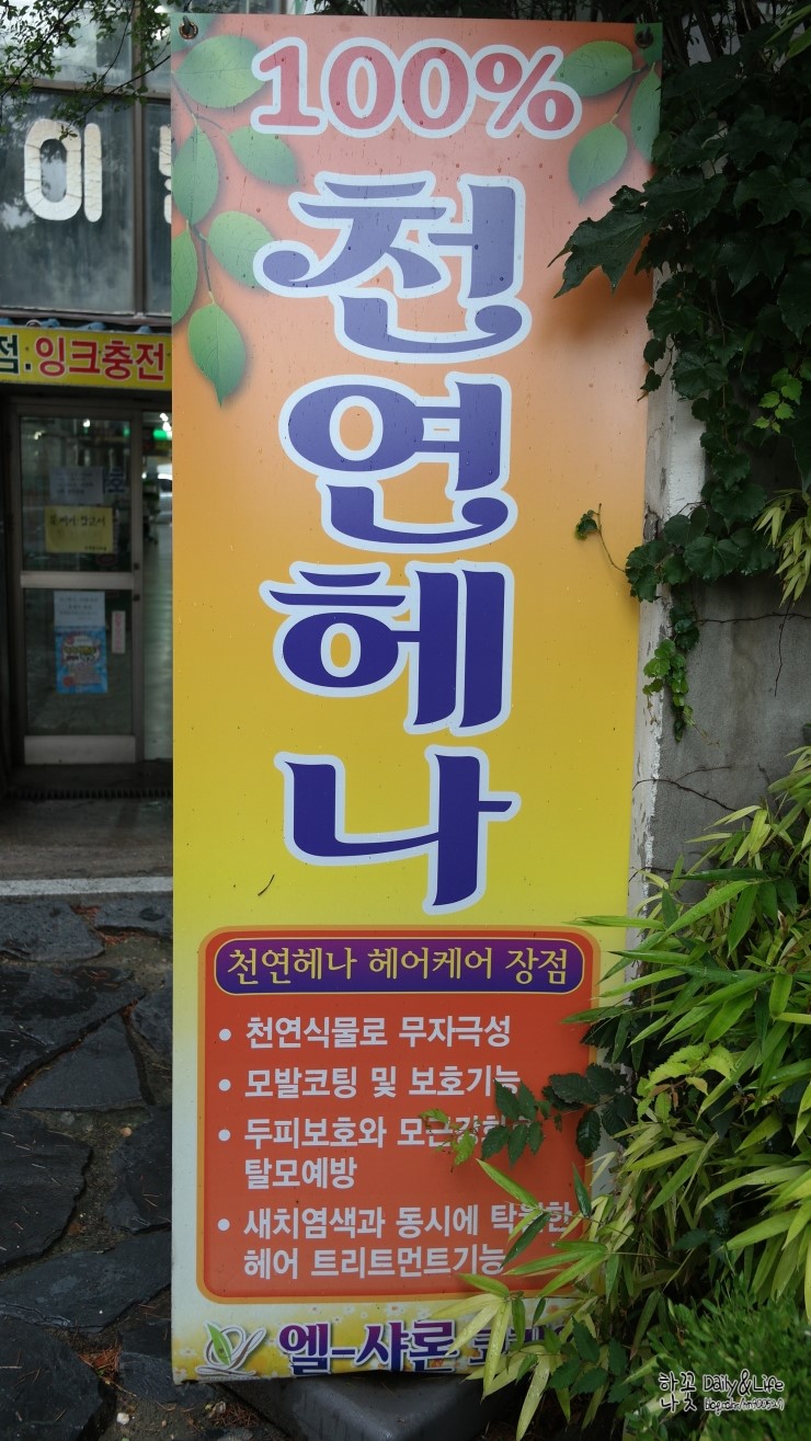 엘샤론염색 이미지