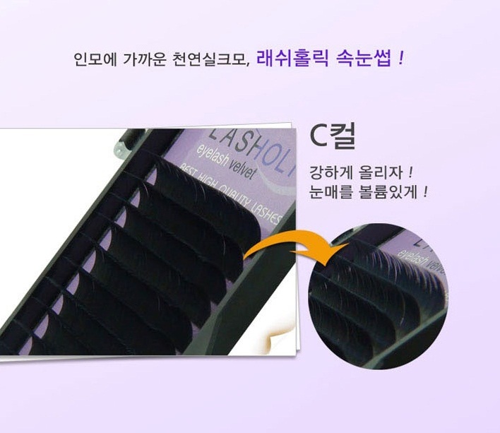 홀릭J.J 이미지