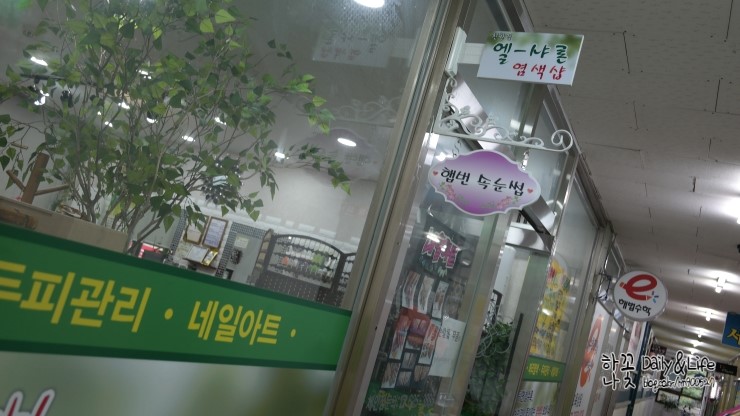 엘샤론염색 이미지