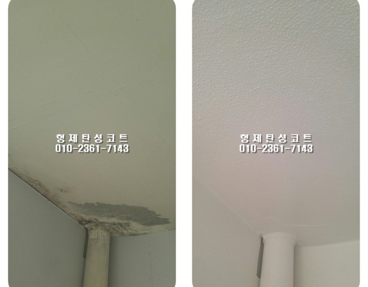 한가람바이오 이미지