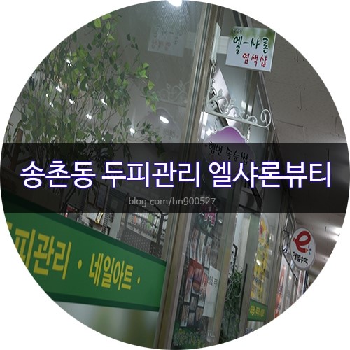 엘샤론염색 이미지