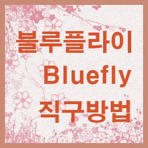 명품스토어 이미지