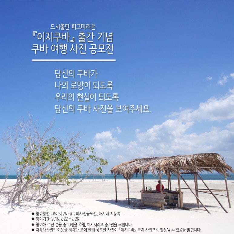 피그마리온도서 이미지