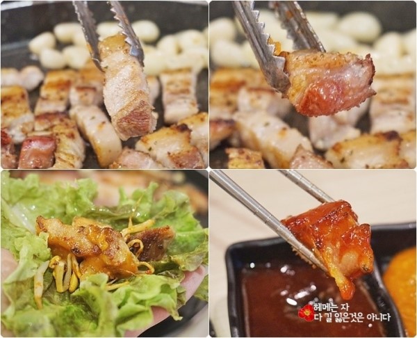 돼지대학교 이미지