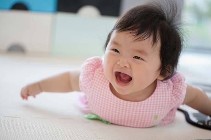 한상돌상한상 이미지