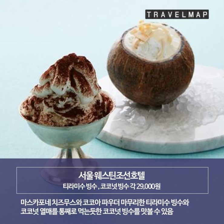 코코넛트레블 이미지