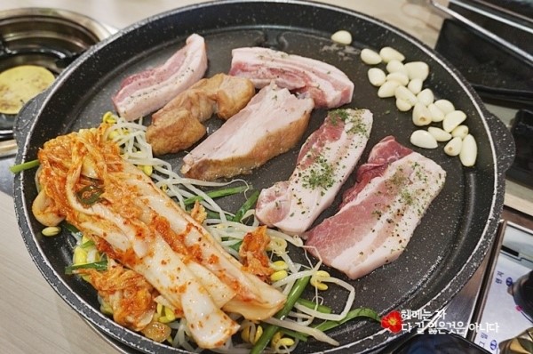 돼지대학교 이미지