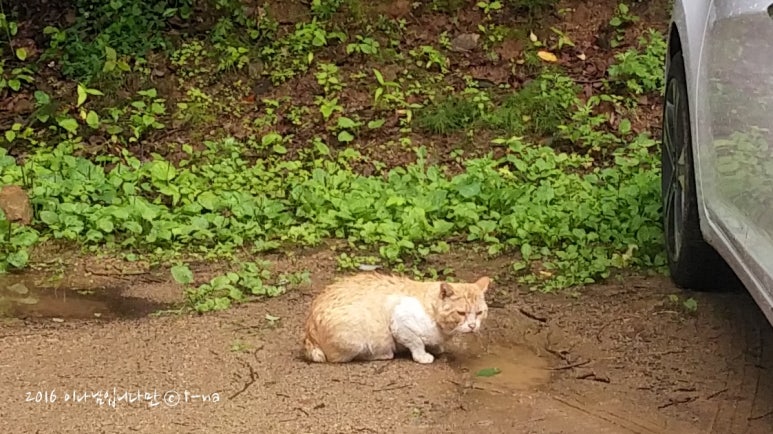 해인스테이 이미지
