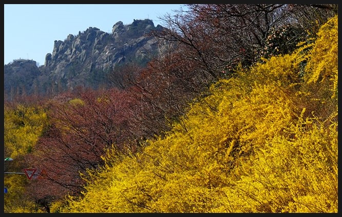 해진수산 이미지