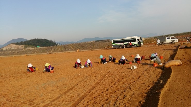 (주)동해건설 이미지