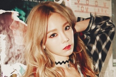 제이이벤트기획 이미지