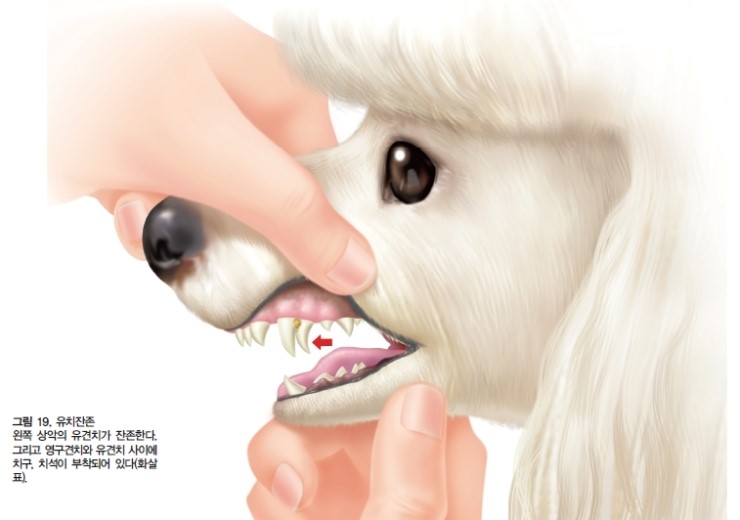(주)에이알씨 이미지