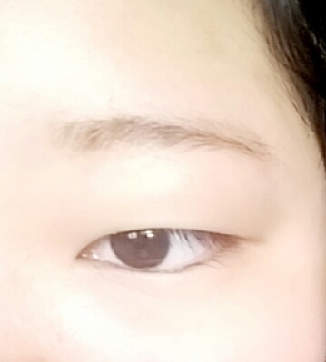 오토데이즈 이미지