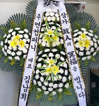 뜨라레 이미지