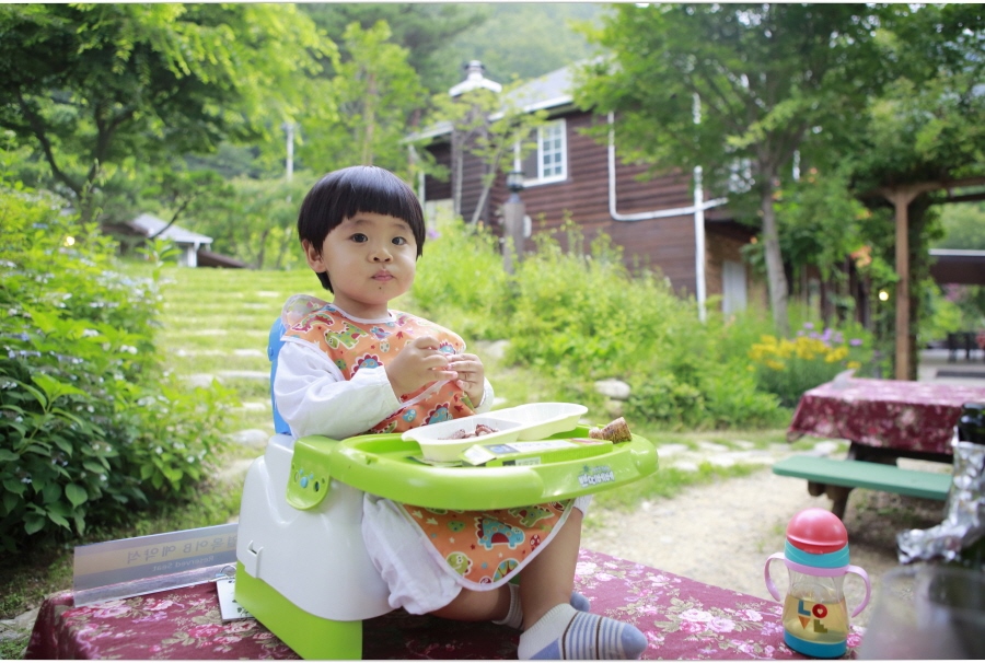 캐디스 이미지