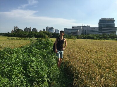 논밭 이미지
