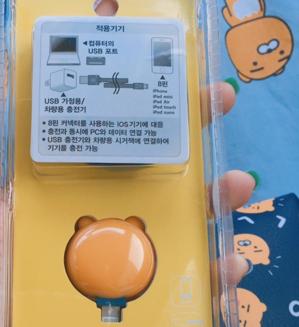 라이언코퍼레이션 이미지