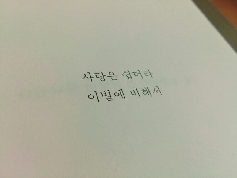 시밤 이미지