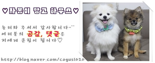 시티칸 이미지