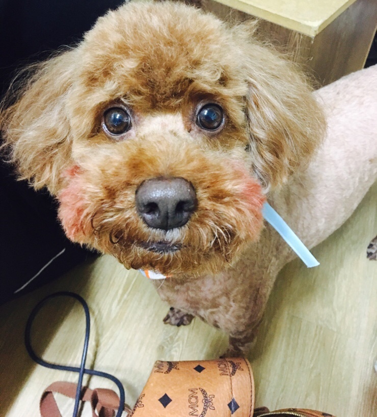 옷에반하다 이미지