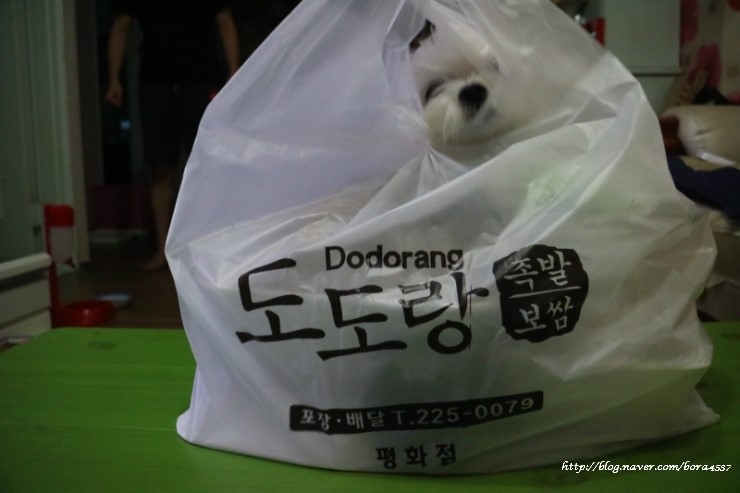도도랑족발보쌈평화점 이미지