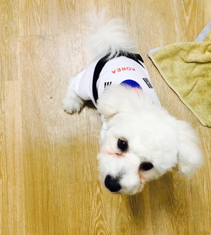 옷에반하다 이미지