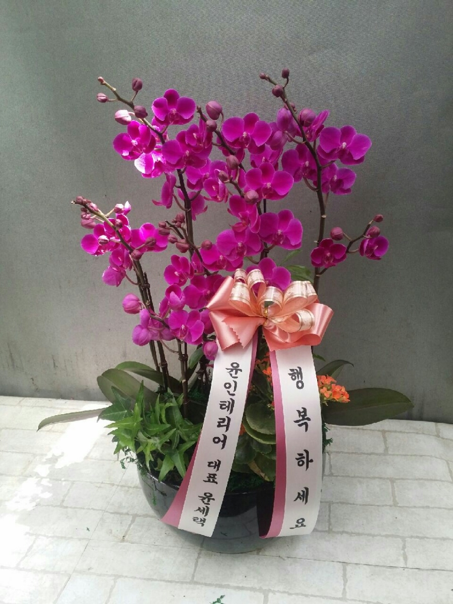 서현플라워 이미지