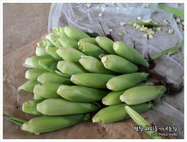 해피농장 이미지