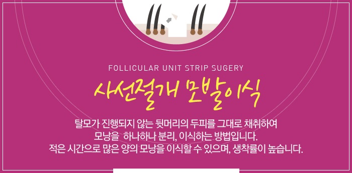 헤어라이 이미지