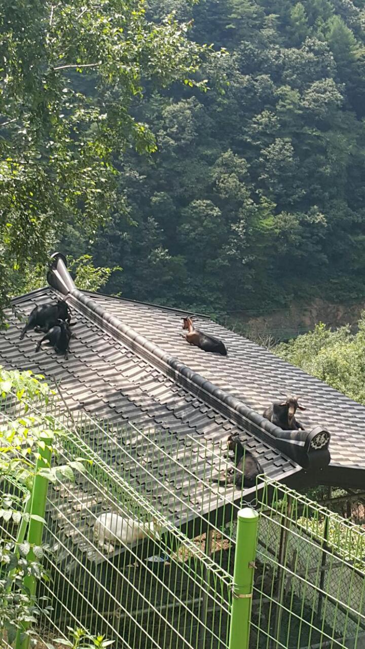 법인산촌생태마을 이미지