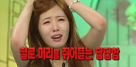 더에스핏 이미지