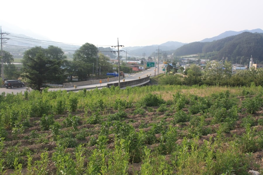 마리산업개발 이미지
