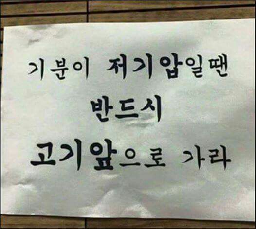 공룡고기 이미지
