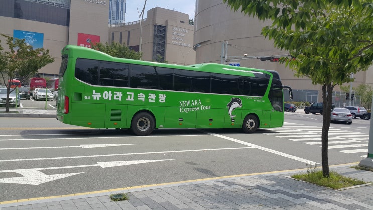 뉴아라고속관광 이미지