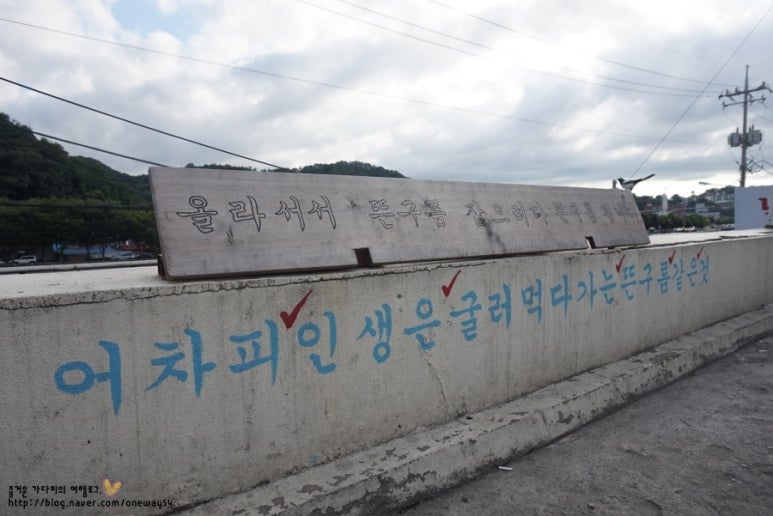 카페나비 이미지