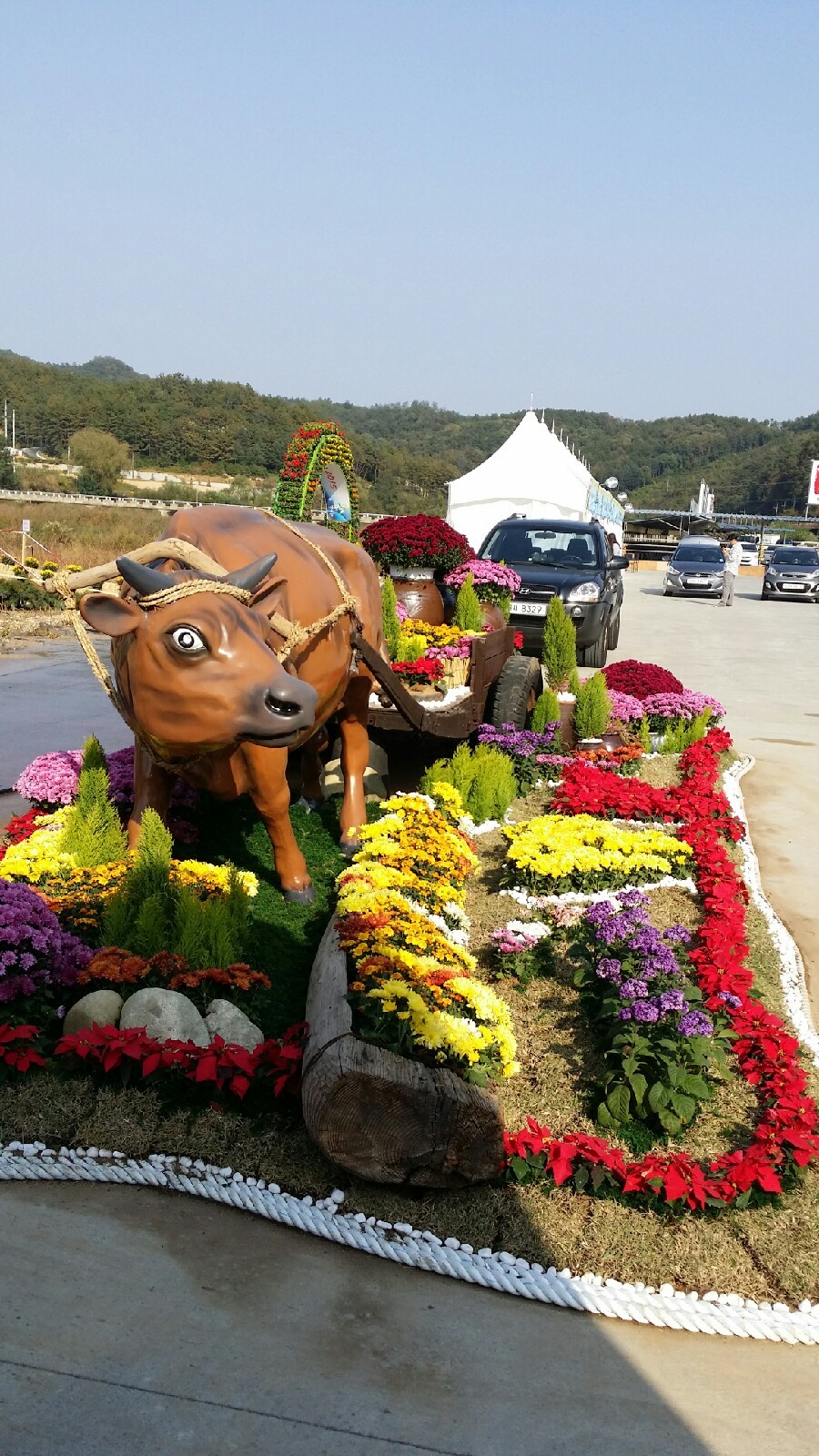 아름꽃화원 이미지