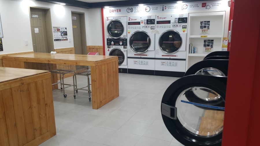 워시테리아 이미지