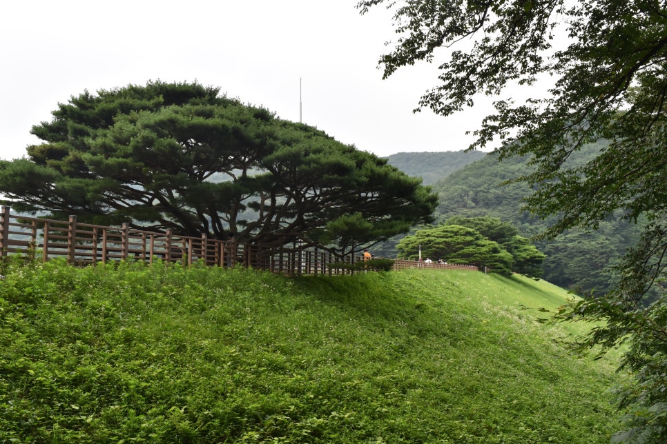 스파옷수선 이미지