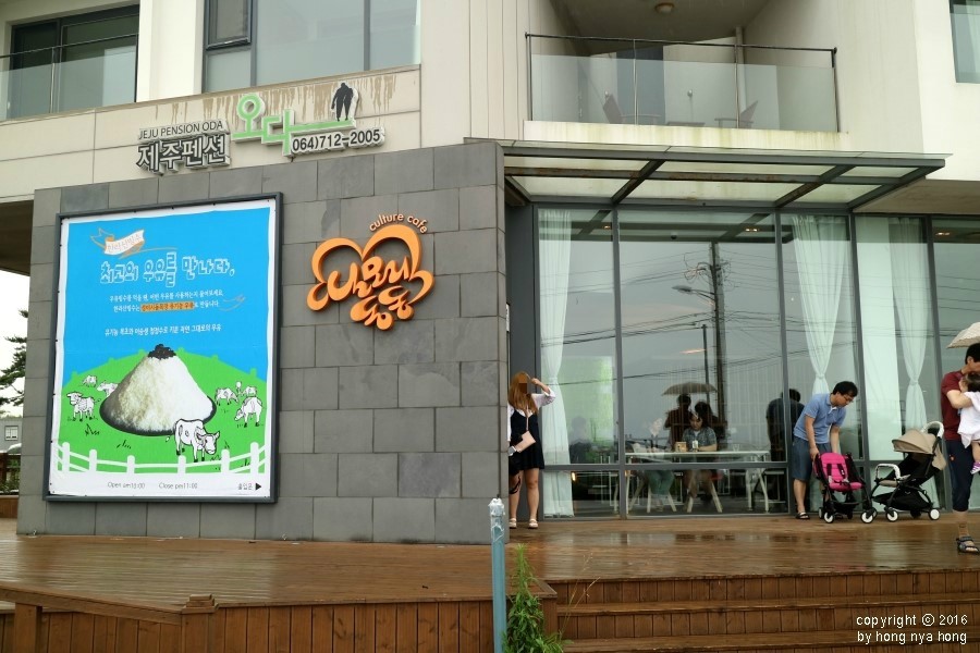 제주동동 이미지