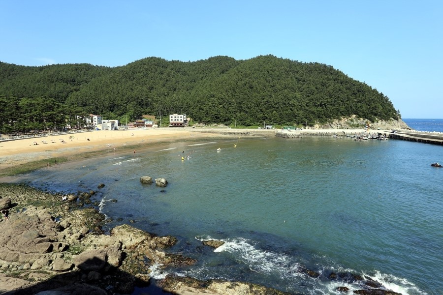 꿈에바다 이미지