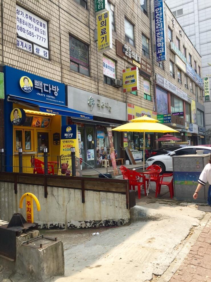 국수나무안산 이미지
