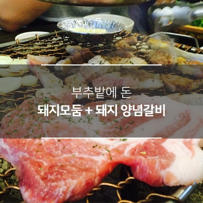 부추밭에돈 이미지