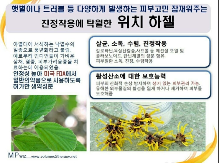 볼륨테라피 이미지