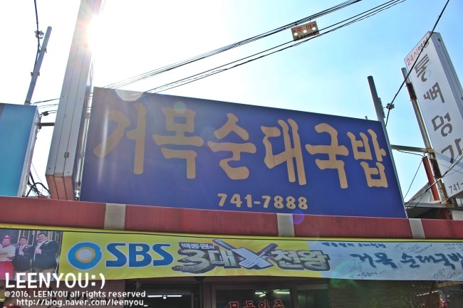 거목투어 이미지