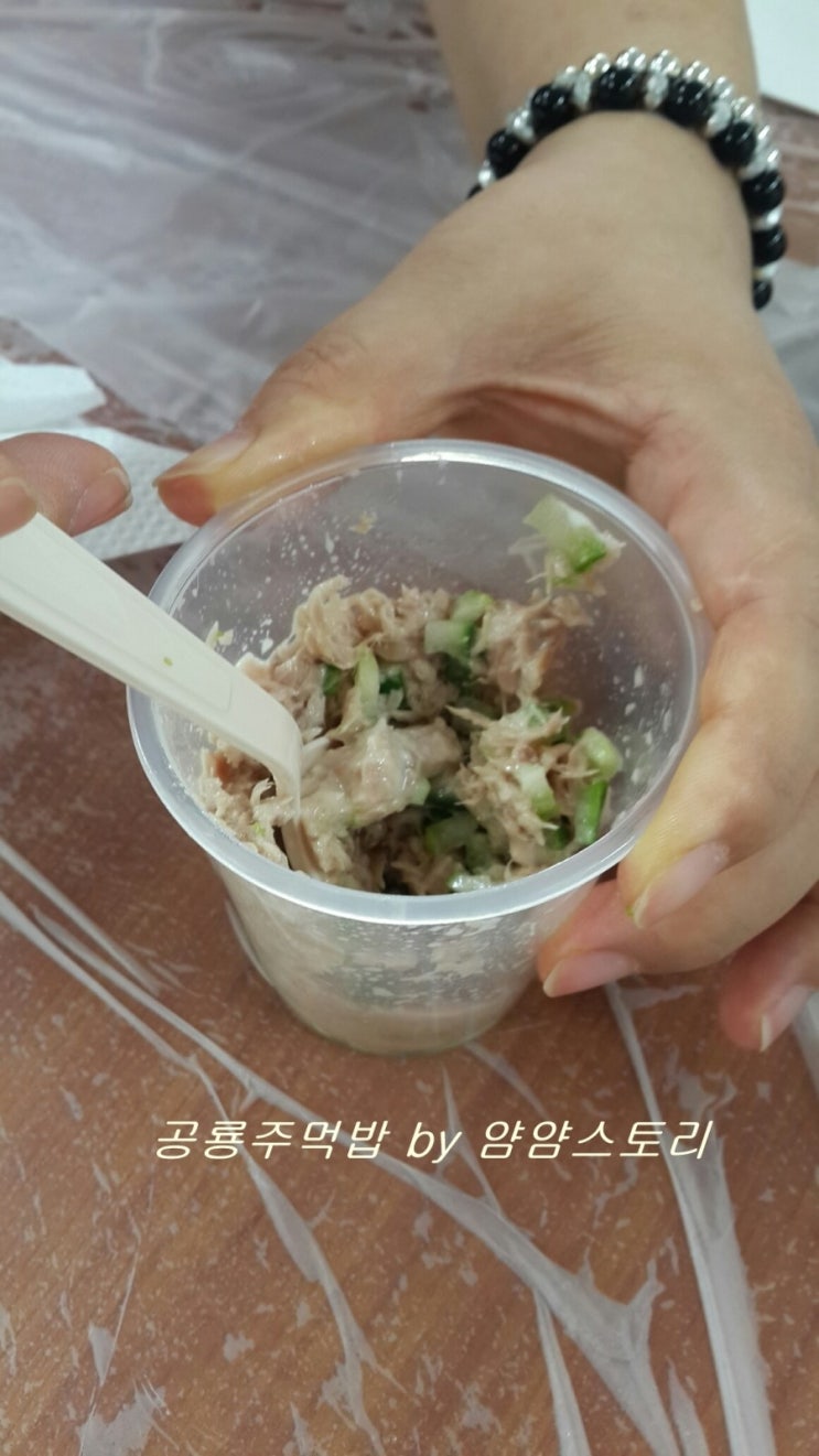 공룡주먹밥 이미지
