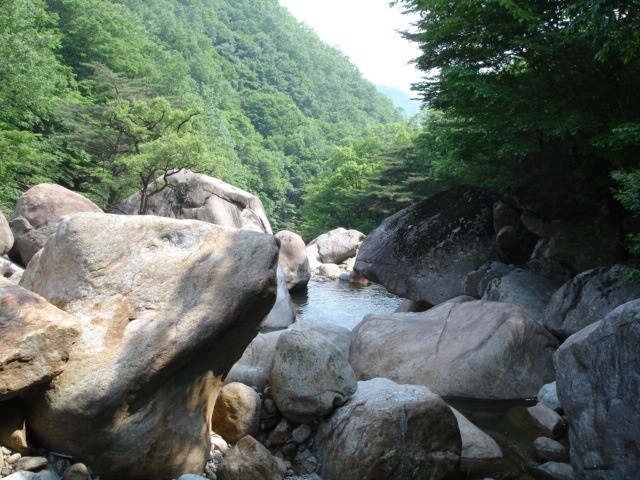 지리산대성골그집 이미지